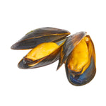 Load image into Gallery viewer, Mussels - بلح البحر

