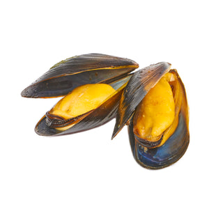 Mussels - بلح البحر